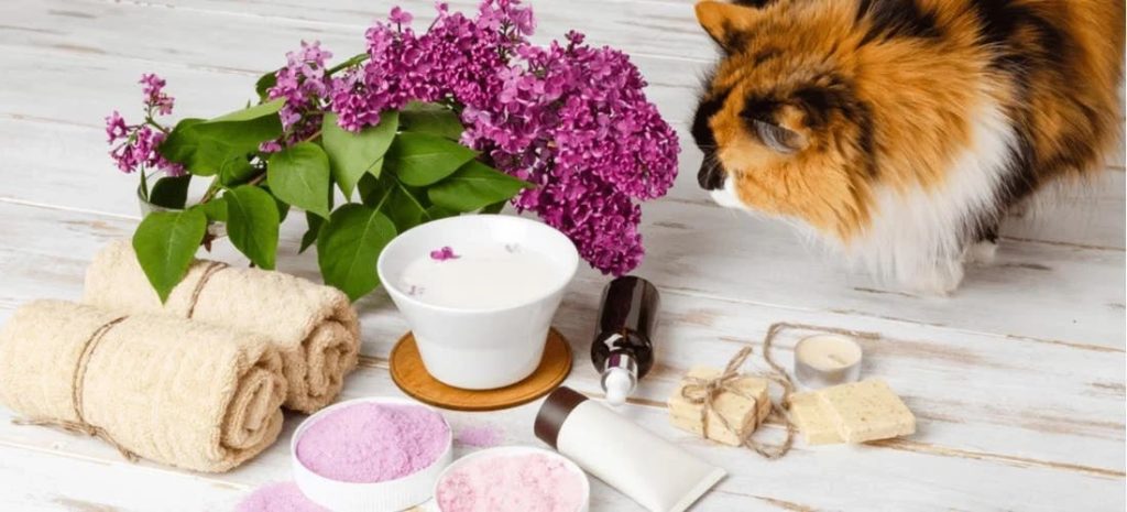The Athlete's Edge Choosing Natural Fragrances for Pet-Friendly Recovery