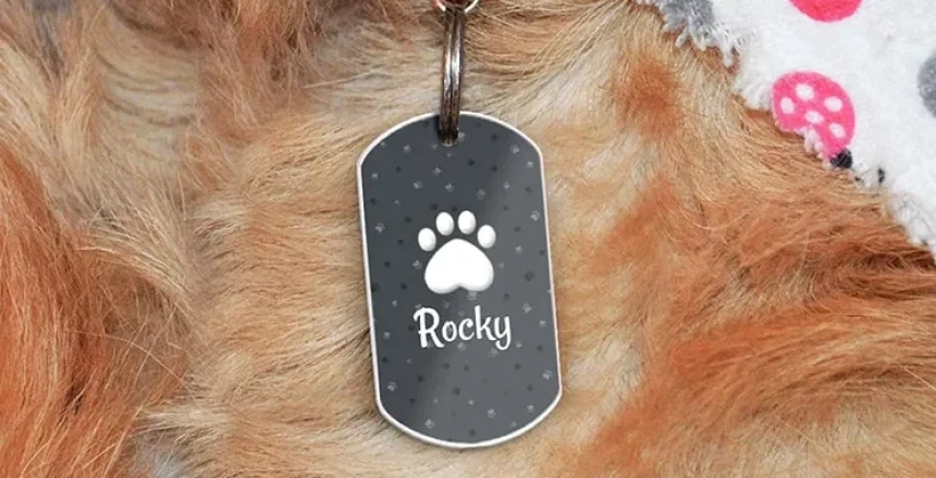 Choosing Personalized Tags Over Standard